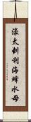 濠太剌利海蜂水母 Scroll