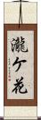 瀧ケ花 Scroll