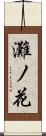 灘ノ花 Scroll