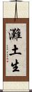 灘土生 Scroll