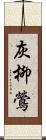 灰柳鶯 Scroll