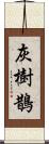 灰樹鵲 Scroll