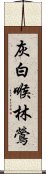 灰白喉林鶯 Scroll