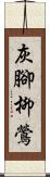 灰腳柳鶯 Scroll