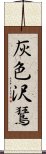 灰色沢鵟 Scroll