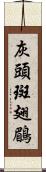 灰頭斑翅鶥 Scroll