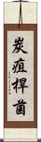炭疽桿菌 Scroll
