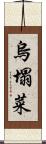 烏塌菜 Scroll