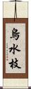 烏水枝 Scroll