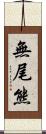 無尾熊 Scroll