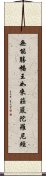 無能勝幡王如來莊嚴陀羅尼經 Scroll