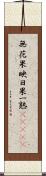 無花果 Scroll