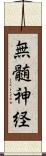 無髄神経 Scroll