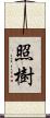 照樹 Scroll