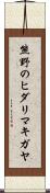 熊野のヒダリマキガヤ Scroll