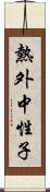 熱外中性子 Scroll