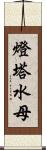 燈塔水母 Scroll