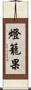 燈籠果 Scroll