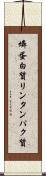 燐蛋白質 Scroll