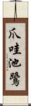 爪哇池鷺 Scroll