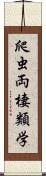 爬虫両棲類学 Scroll