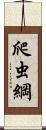 爬虫綱 Scroll