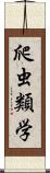 爬虫類学 Scroll