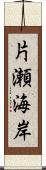 片瀬海岸 Scroll