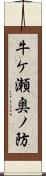牛ケ瀬奥ノ防 Scroll