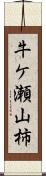 牛ケ瀬山柿 Scroll