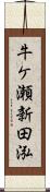 牛ケ瀬新田泓 Scroll