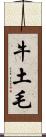 牛土毛 Scroll