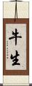 牛生 Scroll