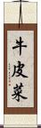 牛皮菜 Scroll