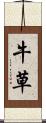 牛草 Scroll