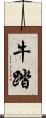 牛踏 Scroll