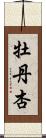 牡丹杏 Scroll