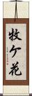 牧ケ花 Scroll