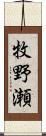 牧野瀬 Scroll