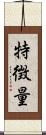 特徴量 Scroll