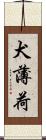 犬薄荷 Scroll