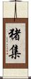 猪集 Scroll