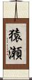 猿瀬 Scroll