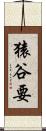 猿谷要 Scroll