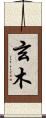 玄木 Scroll