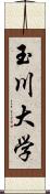 玉川大学 Scroll