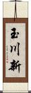 玉川新 Scroll