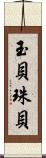 玉貝 Scroll