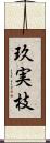 玖実枝 Scroll