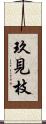 玖見枝 Scroll
